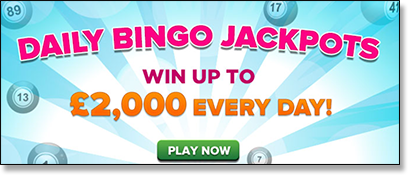 Daily Bingo Jackpots