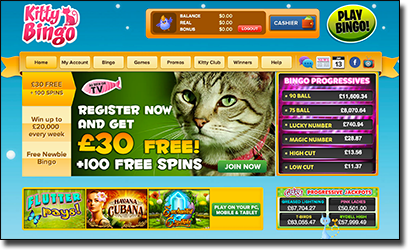 Kitty Bingo - Top Real Money AUD Housie Site